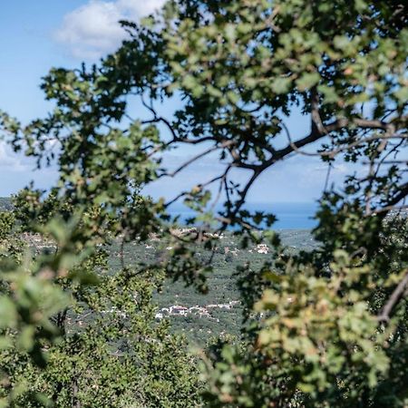 Velanis Ηouse, Style Into Nature - Secluded Kíssamos Eksteriør bilde